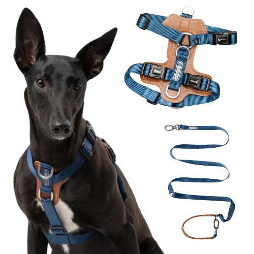Dog Harness | Premium - No Pull | Comfortable & Safety | Harness & Leash Kit