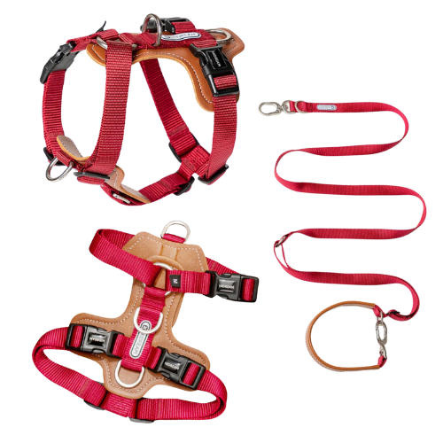 Dog Harness | Premium - No Pull | Comfortable & Safety | Harness & Leash Kit