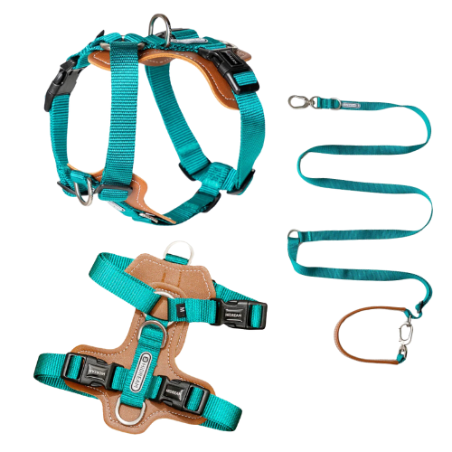 Dog Harness | Premium - No Pull | Comfortable & Safety | Harness & Leash Kit