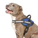 Personalized Dog Harness (no-pull)