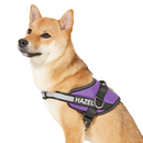 Personalized Dog Harness (no-pull)