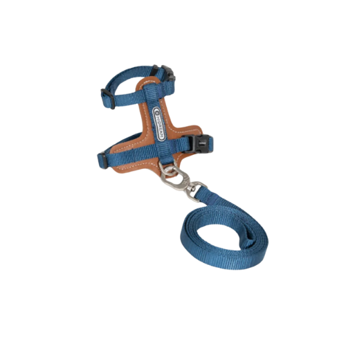 Cat Harness & Adjustable Leash | Style & Comfort