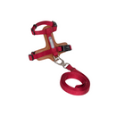 Cat Harness & Adjustable Leash | Style & Comfort