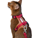 Cat Harness & Adjustable Leash | Style & Comfort