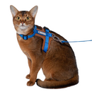 Cat Harness & Adjustable Leash | Style & Comfort