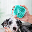 Pet Bath Brush | SPA Soft Silicone | Shampoo Dispenser