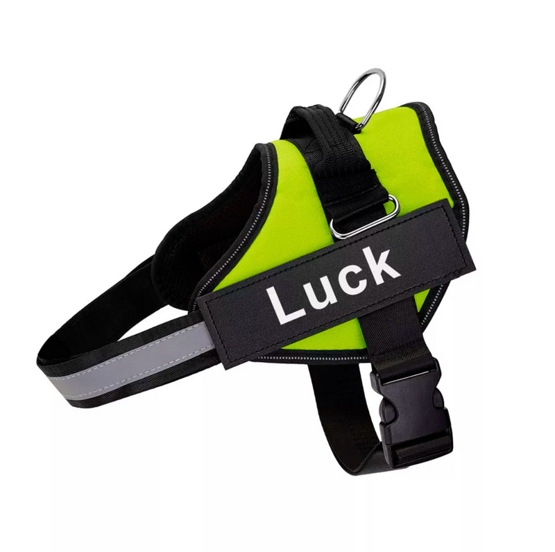 Personalized Dog Harness (no-pull)