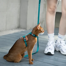 Cat Harness & Adjustable Leash | Style & Comfort