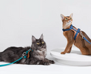 Cat Harness & Adjustable Leash | Style & Comfort
